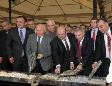 Karşıyaka Hamsiye Doyacak