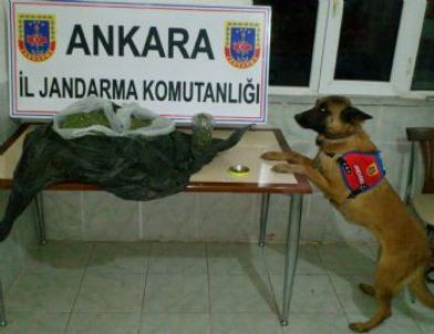 Bala'da 1 Kilo 805 Gram Uyuşturucu Ele Geçirildi