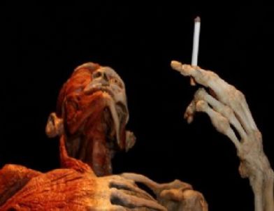 Body Worlds’de İnsan Bedenine Yolculuk Devam Ediyor