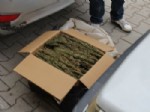 Dörtyol'da 5 Kilo 340 Gram Esrar Ele Geçirildi