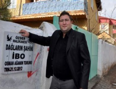 Kıyamet Söylentileri Nedeniyle Mezar Taşını Hazırladı