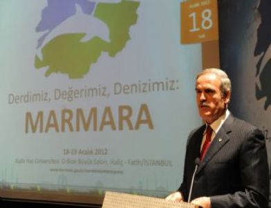 Marmara Denizi İçin Seferberlik