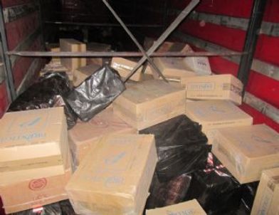 Mersin’de 74 Bin Paket Kaçak Sigara Ele Geçirildi
