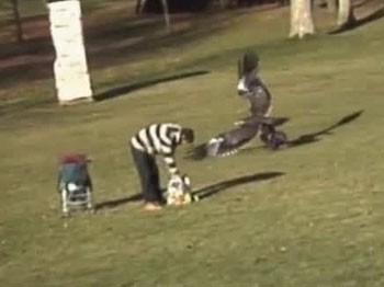 Parktaki kartal dehşetinin altından bakın ne çıktı