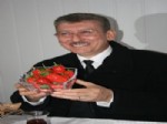 BÜLENT SAVUR - Kış Ayında Topraksız Çilek Ürettiler