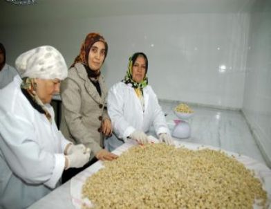 Mamaklı Kadınlar Mantı Açıyor