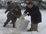 Yoğun Karda Doğadaki Hayvanlara 1 Ton Yem Bırakıldı