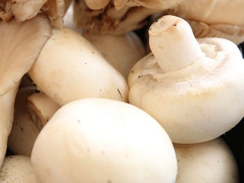 Mantar alırken ambalajlı ürünler tercih edilmeli