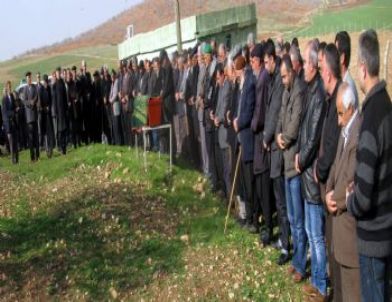 25 Yıllık Muhtar Yakalandığı Amansız Hastalığa Yenik Düştü