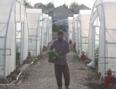 Örnek Proje Seçildi