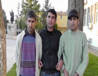 Ceylanpınar Kaymakamlığı Önünde Eylem Yapan Gençlerden Açıklama