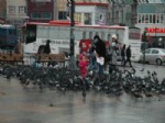 İLGİNÇ GÖRÜNTÜ - Meydanı Mesken Tutan Güvercinler Çocuklara Eğlence Oldu