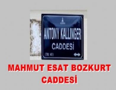 Mahmut Esat Bozkurt'un Adının Yeniden Bir Caddeye Verilmesi İstendi