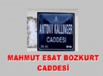 MAHMUT ESAT BOZKURT - Mahmut Esat Bozkurt'un Adının Yeniden Bir Caddeye Verilmesi İstendi