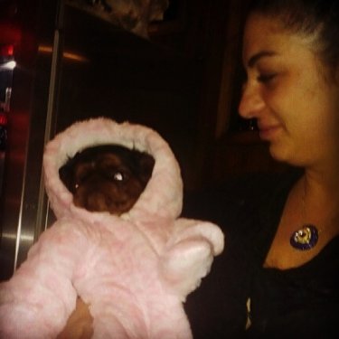 Köpeğine Kürk Giydirdi