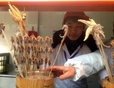 Çin İşi Akrep Şişi, Kışın Yok Satıyor! (özel)