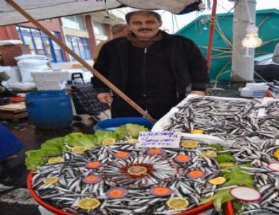 Kulağına Kar Suyu Kaçan Hamsi Yok Satıyor