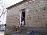 KÖMÜR YARDIMI - Adıyaman’da Bir Kadın ve 3 Çocuğu Samanların Arasında Yaşıyor