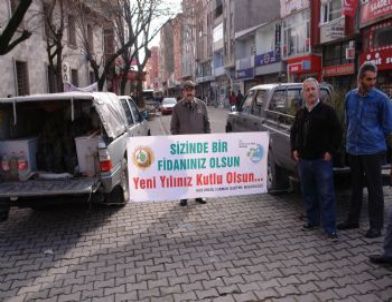 Alaplı’da Vatandaşlara Fidan Dağıtıldı