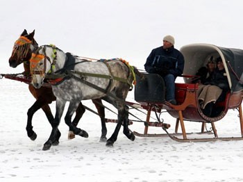 Donan gölde atlı kızak keyfi