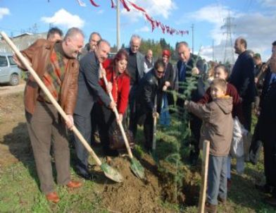 Engelsiz Bir Şehir İçin Ağaç Diktiler