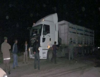 Kaliteli Kömüre Toz Karıştırarak Firmalara Teslim Eden 5 Kişi Yakalandı