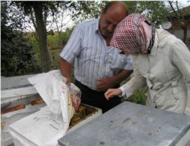 Sakaryalı Arıcılara Kkydp Kapsamında Makine-ekipmanları Dağıtıldı