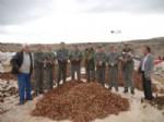 MUSTAFA ASLAN - Silifke'de 110 Ton Sedir Tohumu Toprakla Buluşuyor