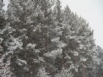 ÇıLDıR GÖLÜ - Ardahan'da Kar Yağışı