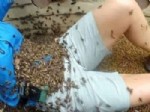 3 bin hamam böceği ile baş başa