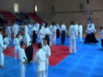 Mudanya’da Aikido Günleri