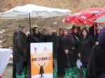 İNCELER - AK Partili Kadınlar Orman Oluşturdu