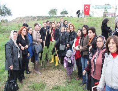 Adana'da 'AK Kadınlar Ormanı' Kuruldu