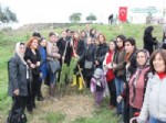 FAHRETTIN COŞKUN - Adana'da 'AK Kadınlar Ormanı' Kuruldu