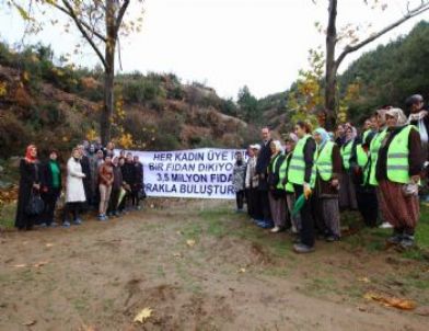 Ak Parti’den Üç Milyon Fidan