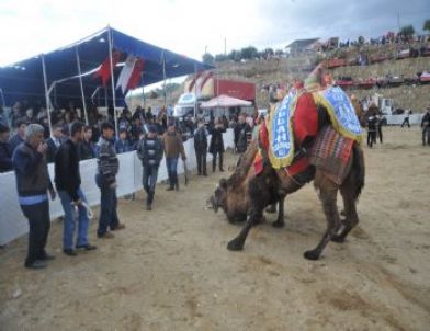 Çadır Protokolün Üzerine Yıkıldı