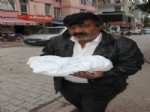 'Hediye' Bebeğin Acı Ölümü