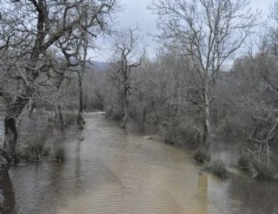 Karacabey'de Dalyan Gölleri Taştı, Mera Sular Altında Kaldı