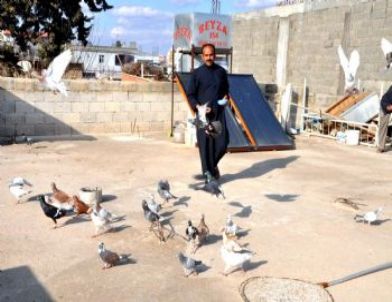 Kuşçular Güneşli Havanın Tadını Çıkardı