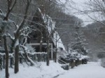 BAHÇEKÖY - Belgrad Ormanlarında Kar Keyfi