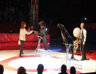 Atlantis Sirki İzmir'de