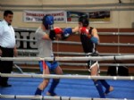 TÜRKIYE MUAY THAI FEDERASYONU - Muay Thai Bölge Şampiyonası Erzincan’da Başladı