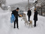 LOKMAN ÖZDEN - Karagöl'e Sahipsiz Köpekler İçin Ekmek Bırakıldı