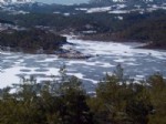 Taraklı'daki Sulama Göleti Buz Tuttu