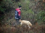 PAŞAKÖY - Yalova'da 7 Yıl Önce Öldürülen Şahsın Kemiklerini Dedektör Köpeği Buldu