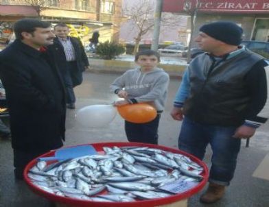 Ak Parti Milletvekilleri Kaynarca’da Esnafları Gezdi