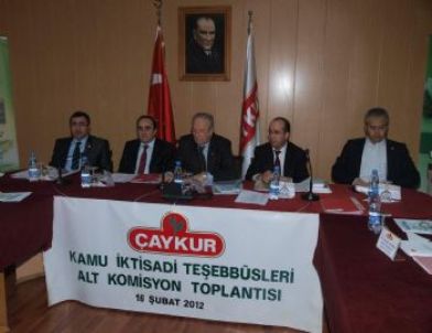 Çaykur'un 2009-2010 Yılı Hesaplarının Denetimi Yapıldı