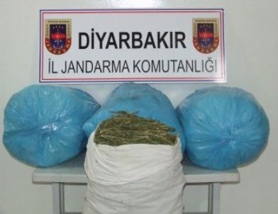 Diyarbakır'da Uyuşturucu Operasyonu