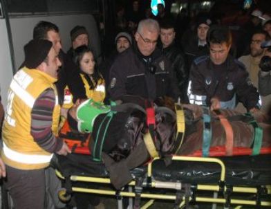 Erzurum'da Trafik Kazası: 8 Yaralı