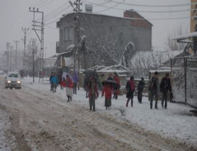 Ağaçlar Devrildi Direkler Yıkıldı